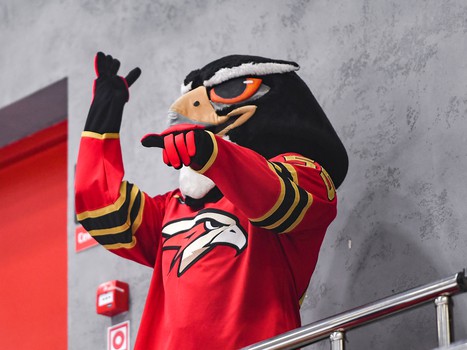 Заключительный день финала Первенства ЮХЛ в Омске