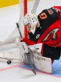 17.02.2024. «Авангард» - «Металлург» 3:0