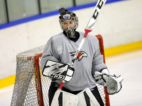 Новички «Авангарда». Александр Судницин