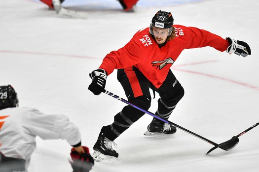 Двусторонний матч «Авангарда»