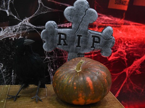 03.11.2019. «Авангард» - «Динамо» Москва 4:3