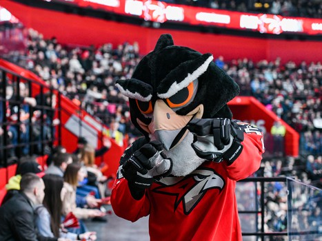 «Авангард» - «Сибирь» 4:3 ОТ. Вокруг матча