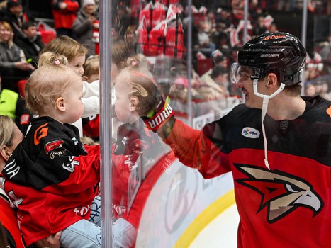 «Авангард» - «Торпедо» 4:3. Вокруг матча