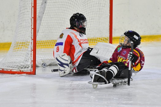 Турнир по следж-хоккею в Омске, день 1