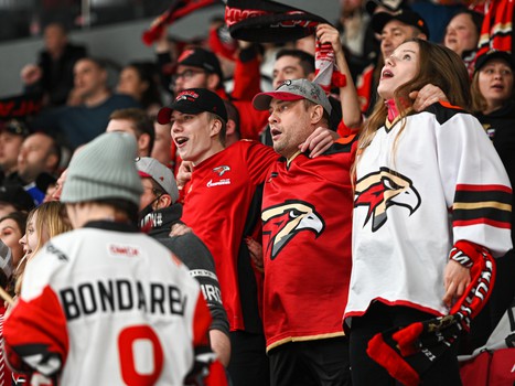 «Авангард» - «Металлург» 5:1. Вокруг матча