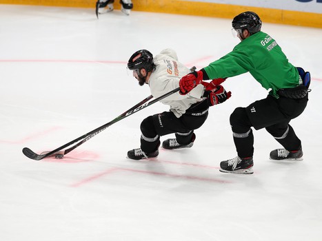 Снова на льду. «Авангард» вернулся к работе