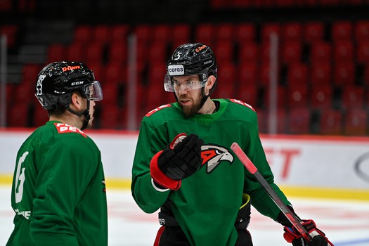 Раскатка «Авангарда» перед матчем с «Амуром»