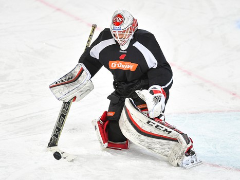 Открытая тренировка "Авангарда" для СМИ перед стартом плей-офф