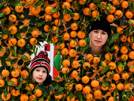 «Авангард» - «Ак Барс» 0:4. Вокруг матча