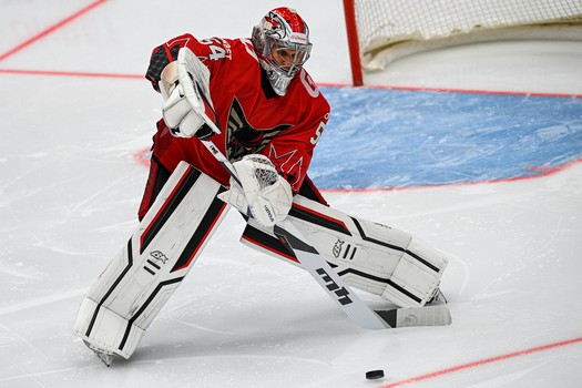 20.08.2025. «Авангард» - «Сибирь» 3:2 ОТ