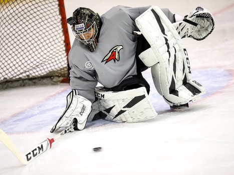 Новички «Авангарда». Александр Судницин