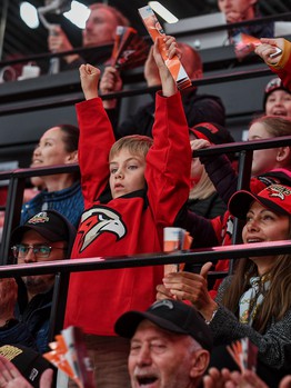 «Авангард» - «Динамо» Мск 7:4. Вокруг матча