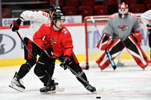 Раскатка «Авангарда» перед матчем с «Трактором»