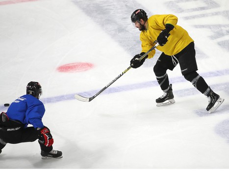 Открытая тренировка «Авангарда» для прессы и болельщиков