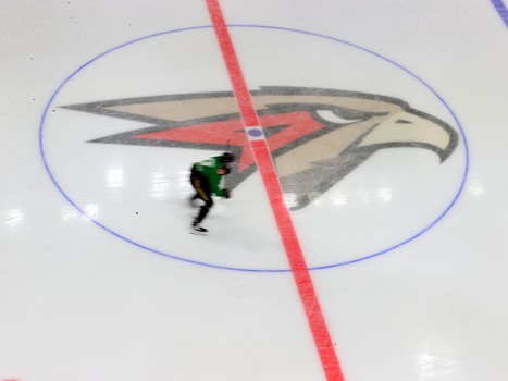 Тренировка «Авангарда» в Балашихе