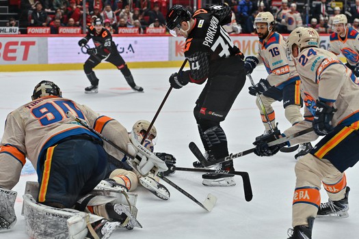 13.03.2026. «Авангард» - «Драконы» 6:1