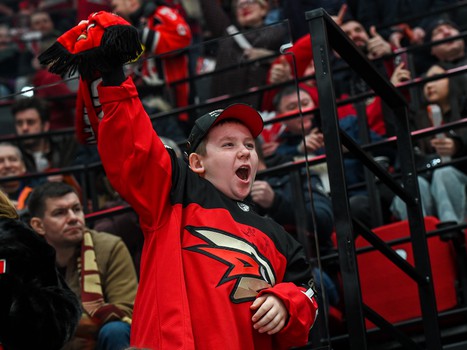 «Авангард» - «Торпедо» 4:3. Вокруг матча