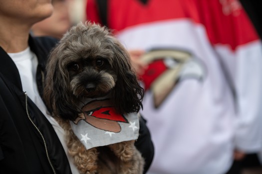 Наиль Якупов на вечеринке Буэнос Летос