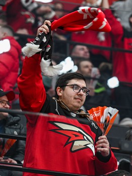 «Авангард» - «Торпедо» 4:3. Вокруг матча