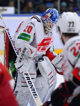 05.01.2014 "Витязь" - "Авангард" 2:3 Б