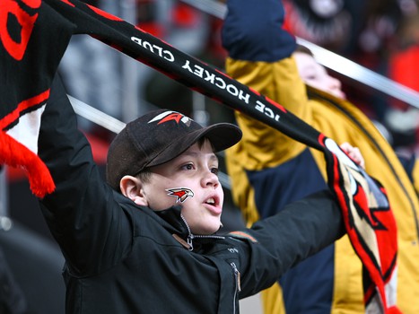 «Авангард» - «Металлург» 5:1. Вокруг матча