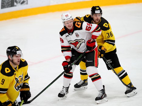 06.12.2020. «Северсталь» - «Авангард» 2:1 Б