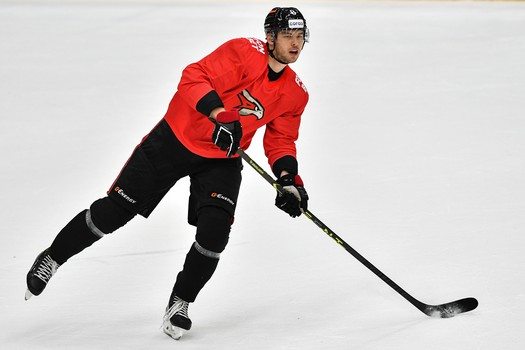 Двусторонний матч «Авангарда»