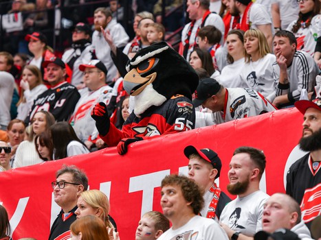 «Авангард» - СКА 5:4. Вокруг матча