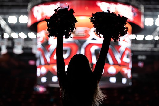 «Авангард» - «Нефтехимик» 6:1. Вокруг матча