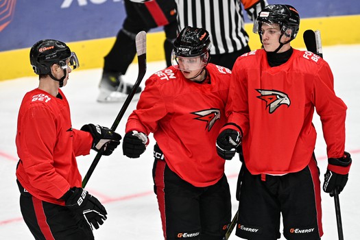 Двусторонка «Авангарда»