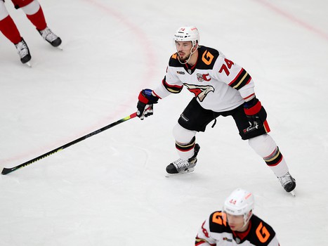 13.12.2020. «Витязь» - «Авангард» 4:3