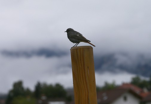Дорога к сезону. Тренировка под открытым небом в Фюссене