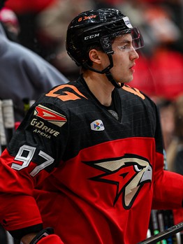 29.01.2025. «Авангард» - «Салават Юлаев» 2:4