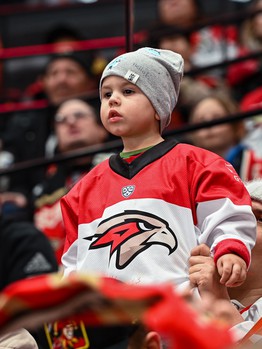 «Авангард» - «Динамо» Мн 3:4. Вокруг матча