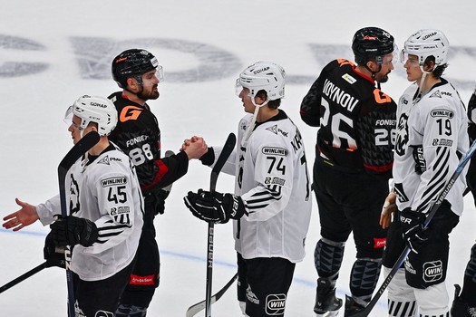 29.01.2026. «Авангард» - «Трактор» 1:0