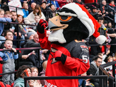 «Авангард» - «Салават Юлаев» 3:2 Б. Вокруг матча