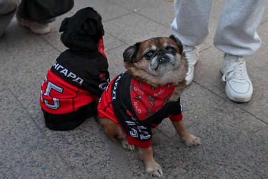 Фан-зона «Авангарда» в Городском саду