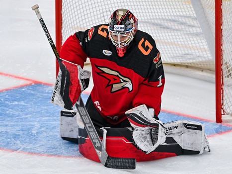 22.02.2025. «Авангард» - «Амур» 2:1