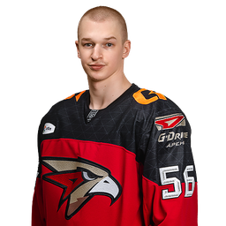 Чайка Даниил