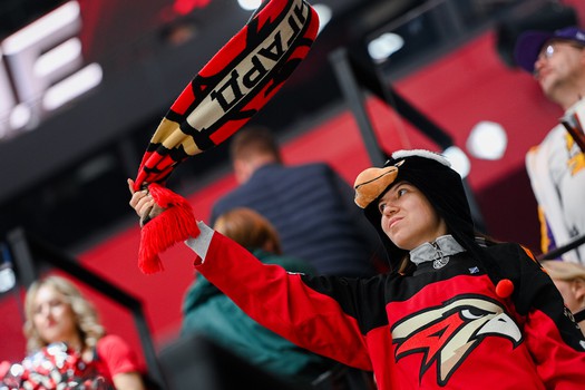 «Авангард» - «Динамо» Мн 5:4 Б. Вокруг матча