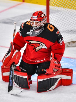 18.01.2023. «Авангард» - «Металлург» 4:3 ОТ