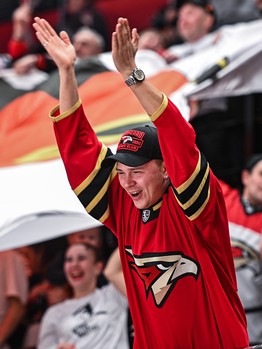 «Авангард» - «Динамо» Мн 4:2. Вокруг матча