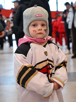 «Авангард» - «Амур» 3:4. Вокруг матча