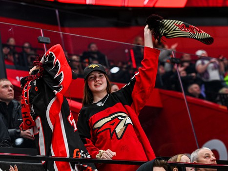 «Авангард» - «Металлург» 3:0. Вокруг матча