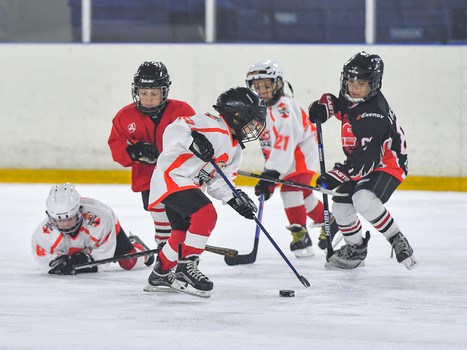 Ветераны «Авангарда» - сборная Ночной хоккейной лиги 8:4