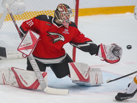 01.12.2018. «Авангард» - «Металлург» Мг 1:2