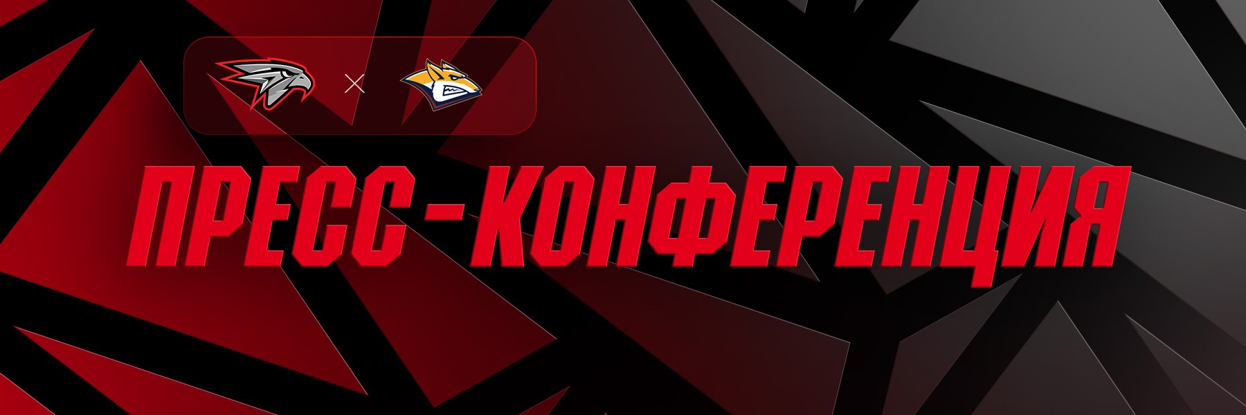 Ги Буше: «Сегодня каждый игрок отдал всё»