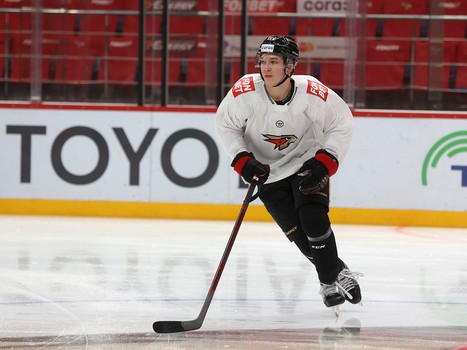 Раскатка «Авангарда» перед матчем с «Сибирью»