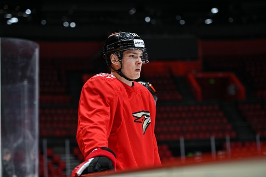 Раскатка «Авангарда» перед матчем с «Амуром»