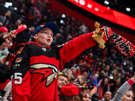 «Авангард» - «Амур» 2:3 Б. Вокруг матча